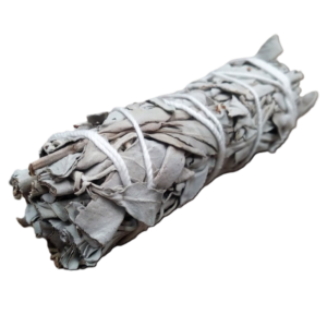 atado de salvia blanca