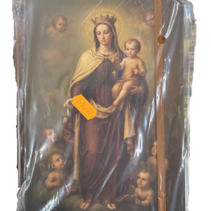 libreta virgen del carmen