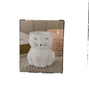 quemador de gato